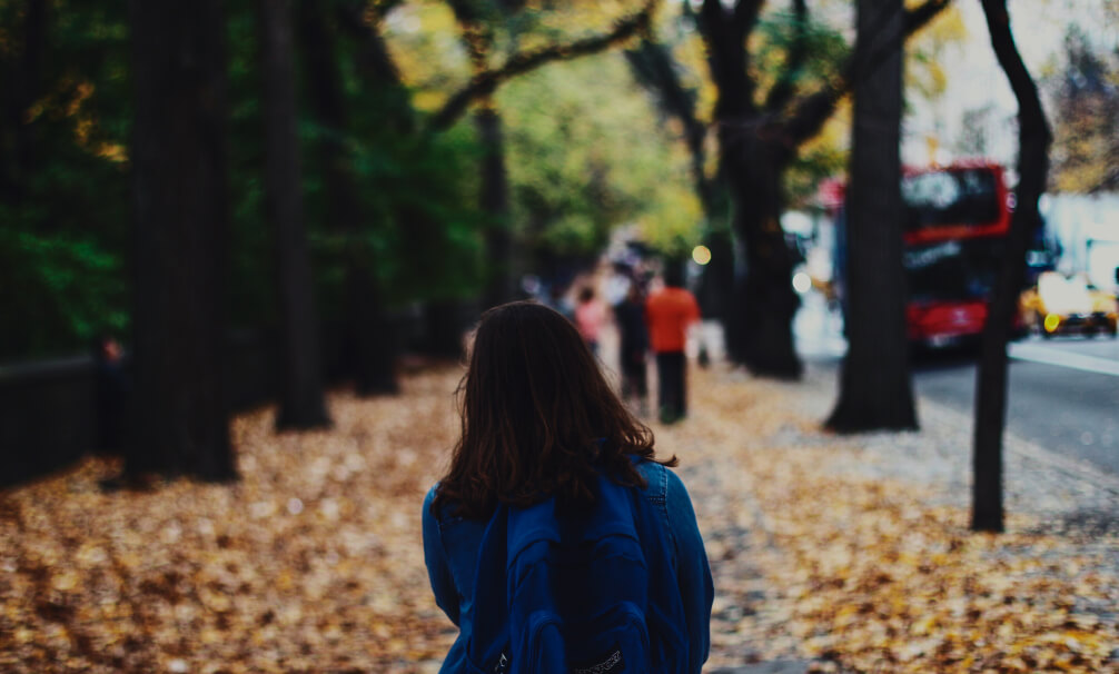 Главная улица города